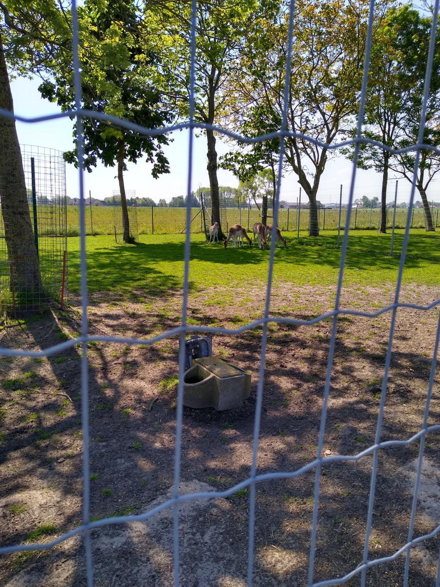 Penzion De Lekkermond Diksmuide Exteriér fotografie