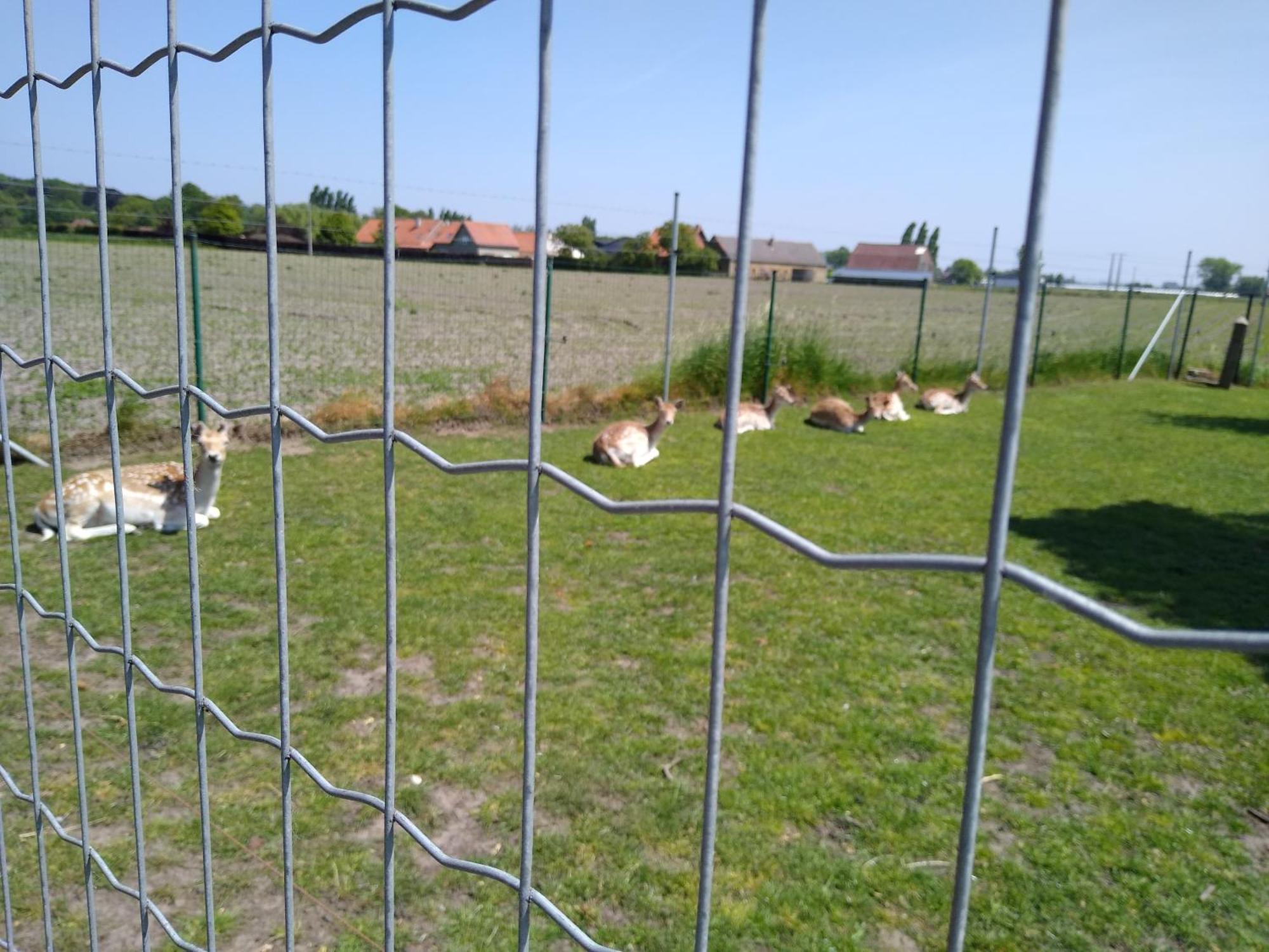 Penzion De Lekkermond Diksmuide Exteriér fotografie
